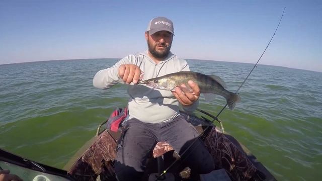 Трофейный судак на Джиг! смотреть онлайн