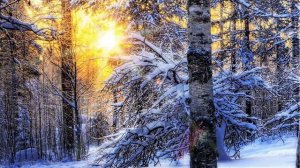 Индивидуальное множество души