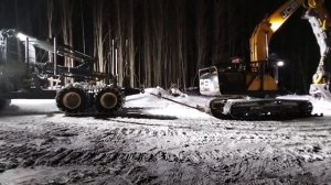 тестируем лыжы