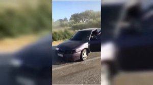 Не делай этого Мага! Мага  Лев!