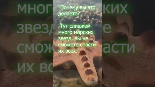 #цитаты #добрыедела