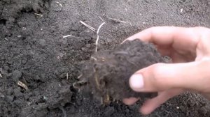 Находки там где ничего не было. Нашли неизвестный хутор.