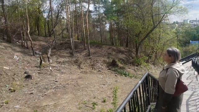 Я ВЫЖАТА КАК ЛИМОН?ИРИШКА БОДРЯЧКОМ? смотреть онлайн