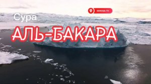 Сура АЛЬ-БАКАРА (СУРА КОРОВА) ОТ СГЛАЗА, ОТ ПОРЧИ, ДЛЯ ОЧИЩЕНИЯ ДОМА