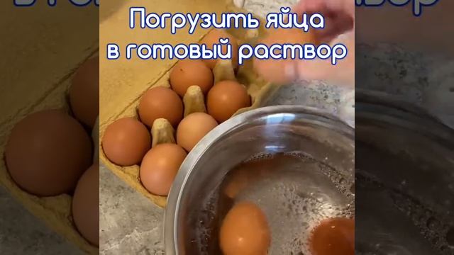 Дезинфекция яиц в домашних условиях. Анавидин-Комплит дезинфицирующее средство без хлора