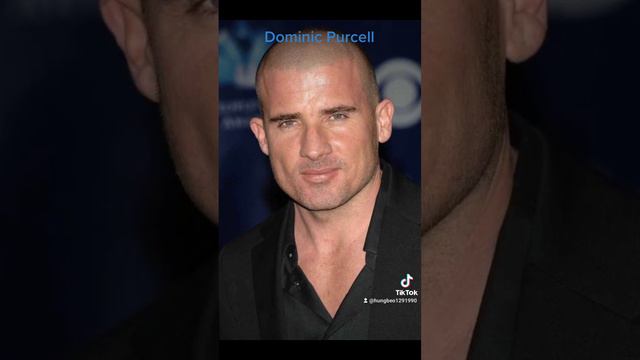 Dominic Purcell... #reels