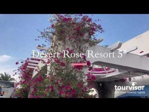 Desert Rose Resort