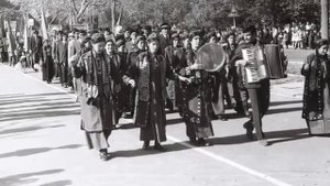 КУШКА 84   86 г