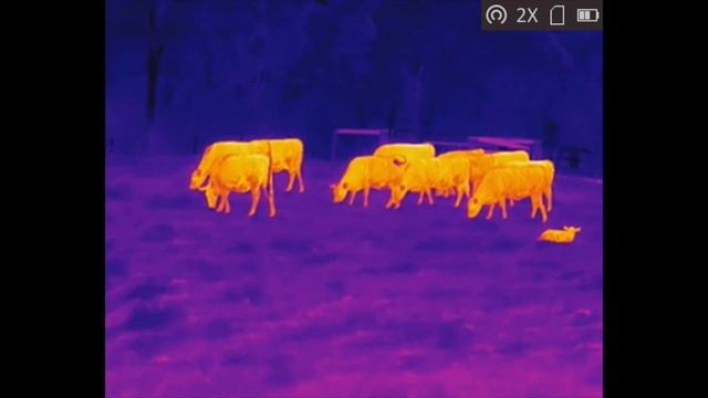 HikMicro OWL OQ35 Distance Comparisons смотреть онлайн