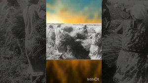 Кубань - мой край родной