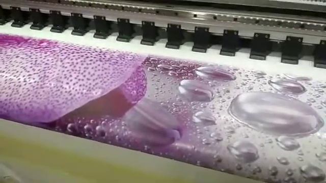 Ошоба Натяжной потолок 92 933 19 95 (4) смотреть онлайн