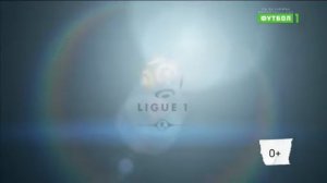 2015|2016 Ligue 1 (26)