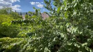 отдых в Судаке на Спендиарова 18