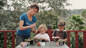 Transferring Succulents into Decorative Pots