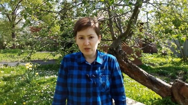 Психология агрессии
