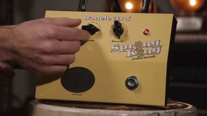Funky Vintage: Danelectro Spring King | Reverb Demo Video