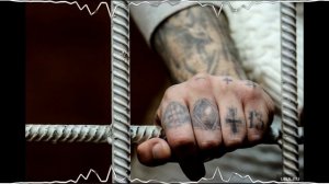 Mr. Credo - Вор | TrendTattooHome