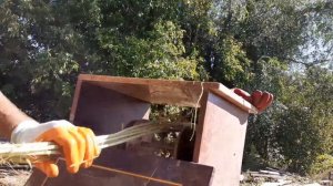 окорка прута