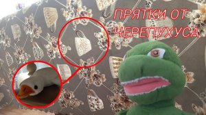 ПРЯТКИ ОТ ЧЕРЕПУХУСА! 2 ЧАСТЬ!