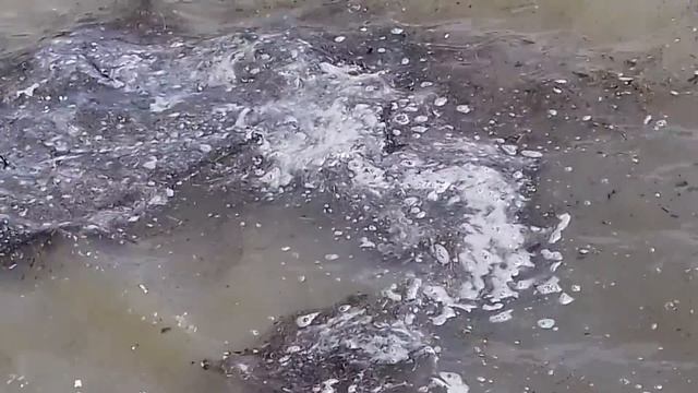 ??Крым Алушта.КАНАЛИЗАЦИЯ ВЫБРОСЫ в МОРЕ.Отдых в Крыму