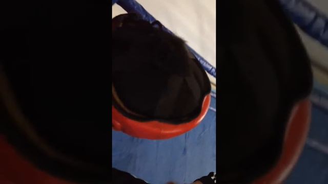 Boks v sortobe смотреть онлайн