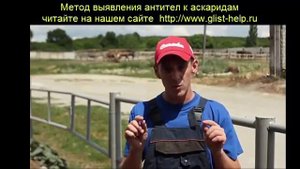 Как распознать и избежать аскаридоза свиней и кур