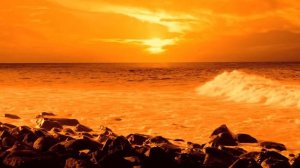 Наталья Шоколадкина - Обитель