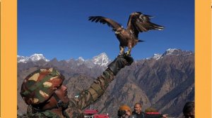 INDIAN ARMY ANTI DRONE KITE | DRONE PREDATOR KITE CHIL | PAKISTANI DRONE | NEWS# FROM TILAK
