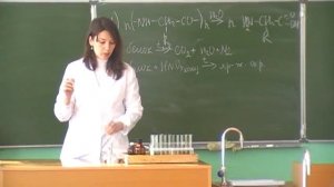 Урок "Химические свойства белков"