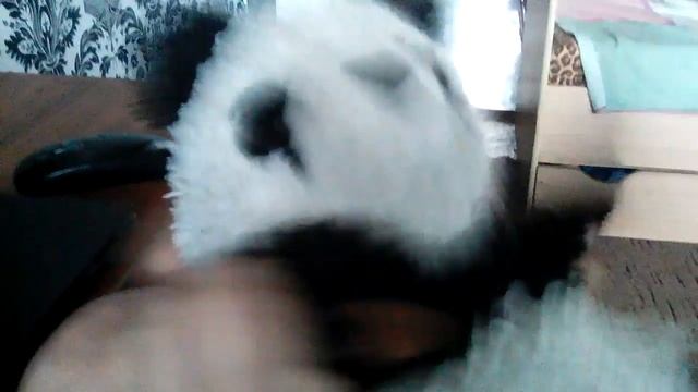 Панды игрушка смотреть онлайн