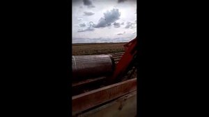 Подборщик лука севка «Караван»