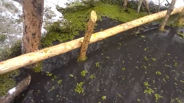 Установка капкана Кп250(подробно) часть 2 смотреть онлайн