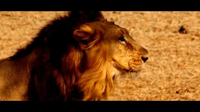 ichsan melody - Until The Last of Breath | Flute instrumental music | Bonang смотреть онлайн