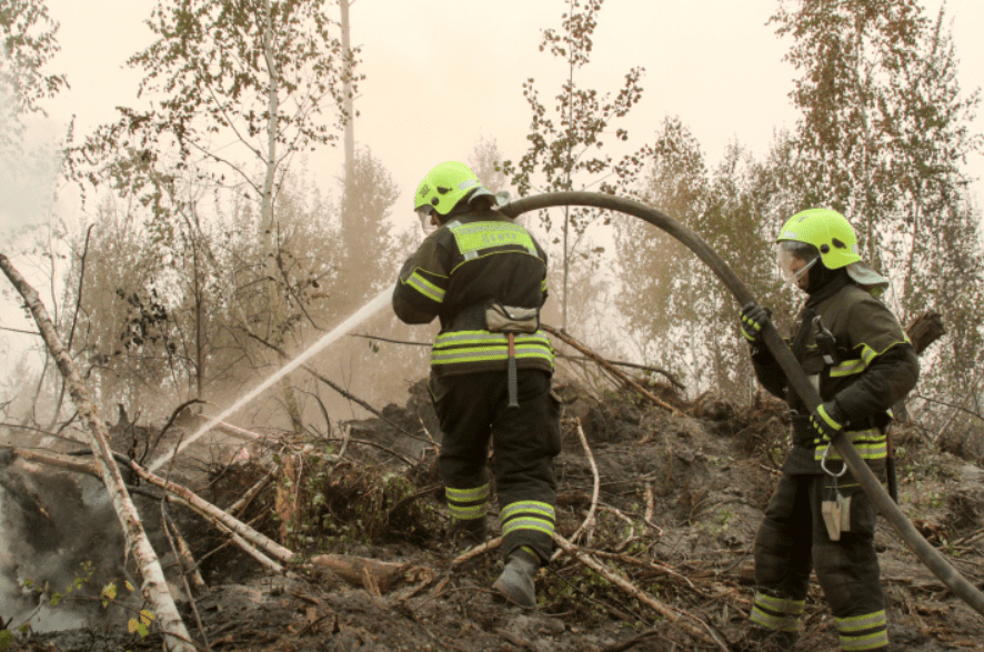 Наивысшая опасность: лесные пожары охватили Курганскую область