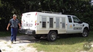 Rattlesnake Rescue : The Python Hunter : AnimalBytesTV