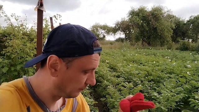 VLOG:Дядя Лëня вспомнил обиду/Не успели выбрать малину/Передал от Вас привет. смотреть онлайн