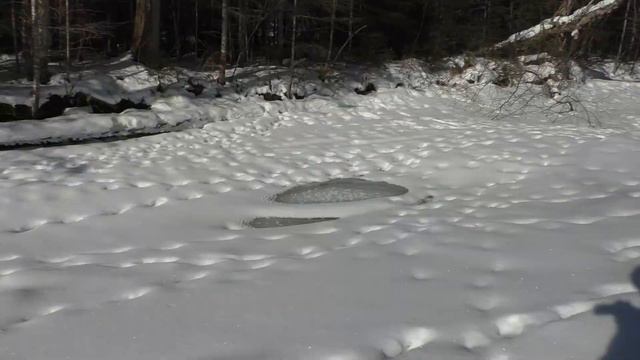 Хинганские Увалы. Часть 2 зимняя По руслу Хингана смотреть онлайн