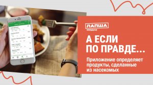 ПРИЛОЖЕНИЕ СПОСОБНО ОПРЕДЕЛЯТЬ НАСЕКОМЫХ В СОСТАВЕ ПРОДУКТОВ I РАЗБОР ФЕЙКА