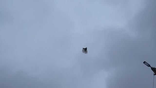 20 декабря 2021 г. смотреть онлайн