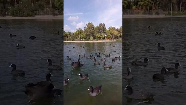 Manavgat Sorgun Titreyen Göl