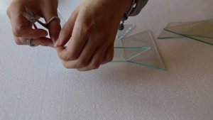 DIY флорариум
