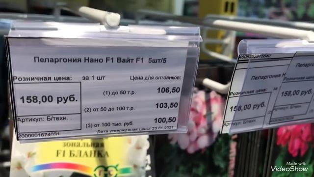 Такой выбор семян Пеларгоний вы ещё не видели! смотреть онлайн