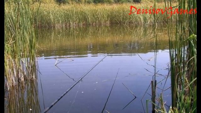 Страшная История - Чудовище охладительного пруда АЭС смотреть онлайн