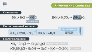 Аммиак: как образуется и с чем реагирует? #аммиак #химия #видеоурок #егэхимия