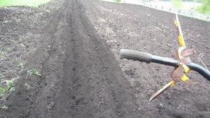 ПОСАДКА КАРТОШКИ МОТОБЛОКОМ от А до Я, Мой ЛУЧШИЙ СПОСОБ!!!