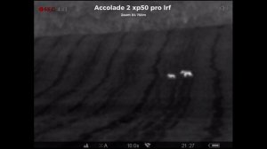 Обзор на самый дорогой бинокль от Pulsar. Сравниваем Merger LRF XL50 c Accolade 2XP50 PRO.