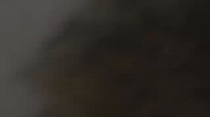 Голубь спрыгнул с крыши