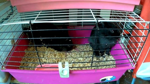 В Грузию на машине 2017. Тбилиси, Храм Цминда Самеба - Пресвятая Троица, цены на Дезертирском рынке смотреть онлайн