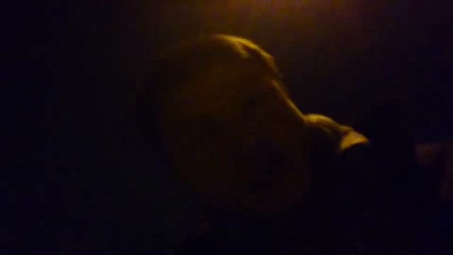 Гурген гаргалыга птирадактиль смотреть онлайн