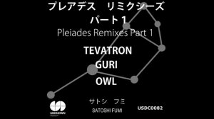 Satoshi Fumi - Pleiades (Guri Chicago Love's Mix)